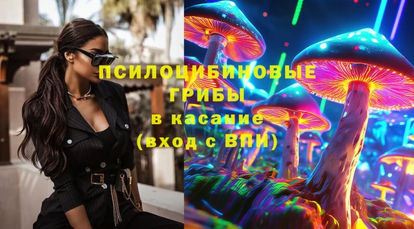 ГАЛЛЮЦИНОГЕННЫЕ ГРИБЫ Верхний Тагил