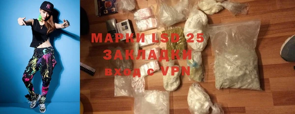 хмурый Верея
