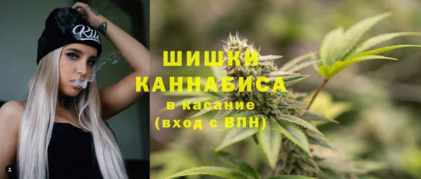 хмурый Верея