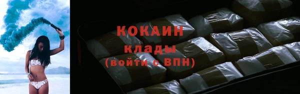 хмурый Верея