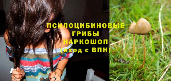 ГАЛЛЮЦИНОГЕННЫЕ ГРИБЫ Верхний Тагил