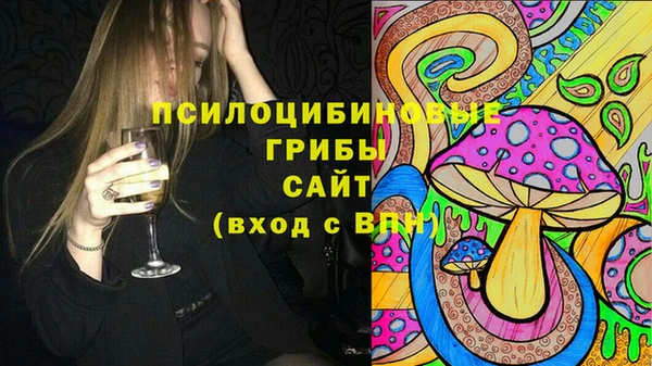 ГАЛЛЮЦИНОГЕННЫЕ ГРИБЫ Верхний Тагил