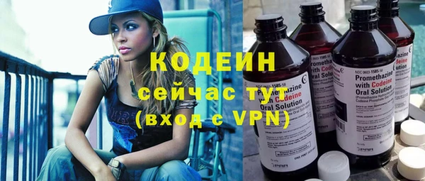 хмурый Верея