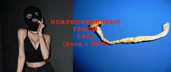 хмурый Верея