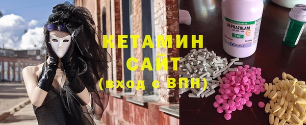 хмурый Верея