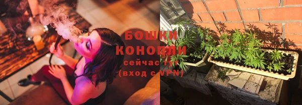 хмурый Верея