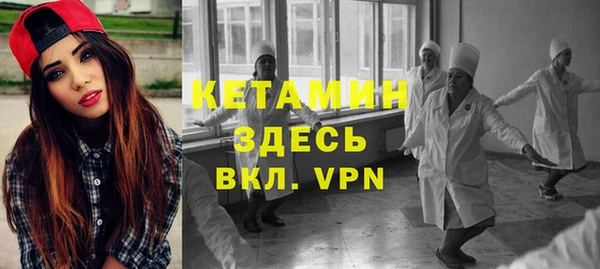 хмурый Верея