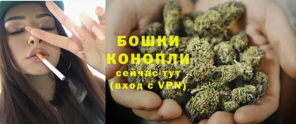 хмурый Верея