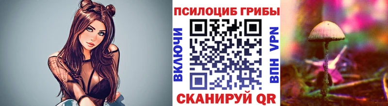 где продают наркотики  Севастополь  гидра как зайти  Псилоцибиновые грибы GOLDEN TEACHER 